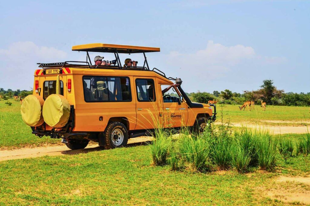 game drives