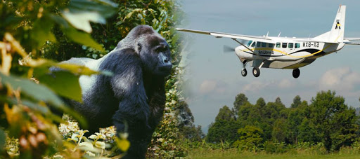 flying to Bwindi national park 