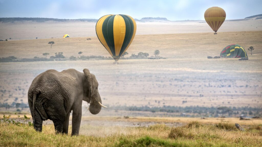hotair baloons safaris 