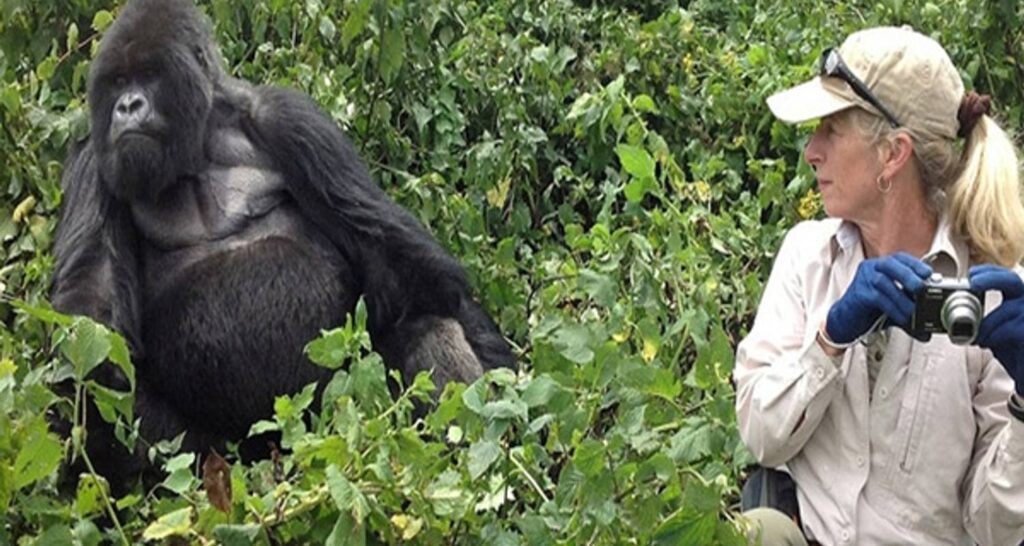 Rwanda gorilla trekking 