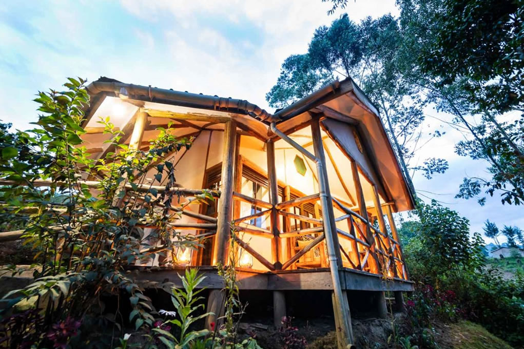 Rushaga Gorilla safari Lodge.