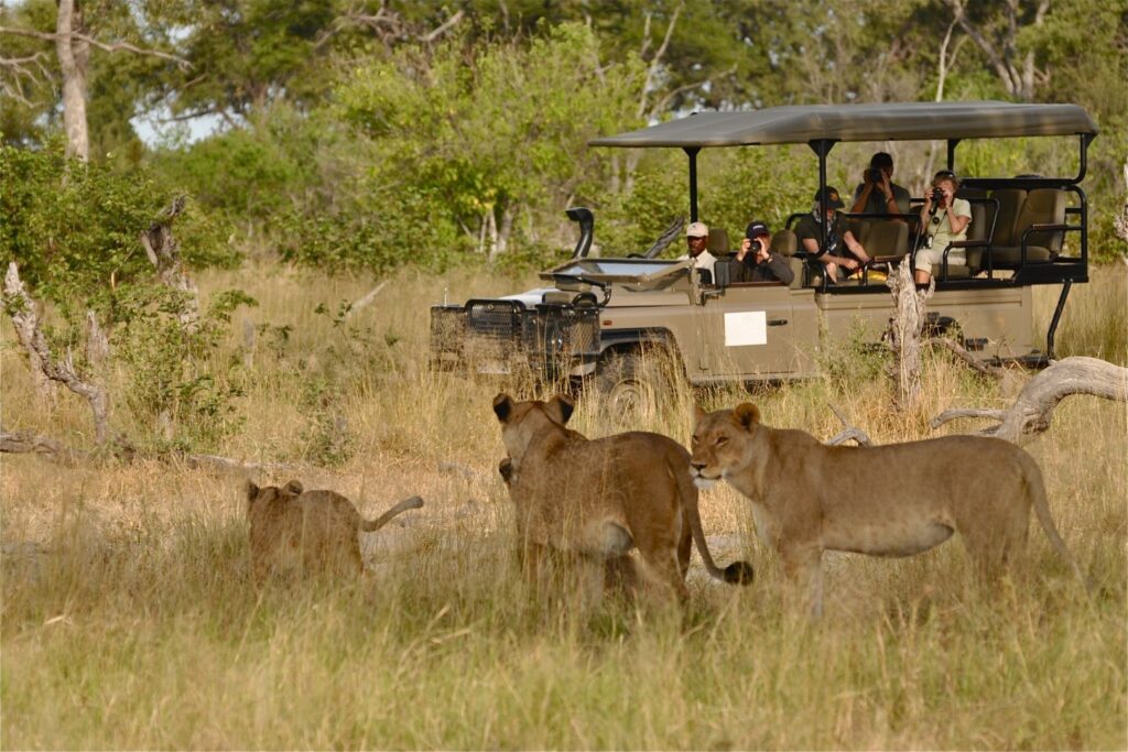 game drive in Murchison falls national park 