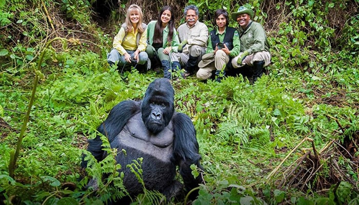 uganda gorilla trekking rules